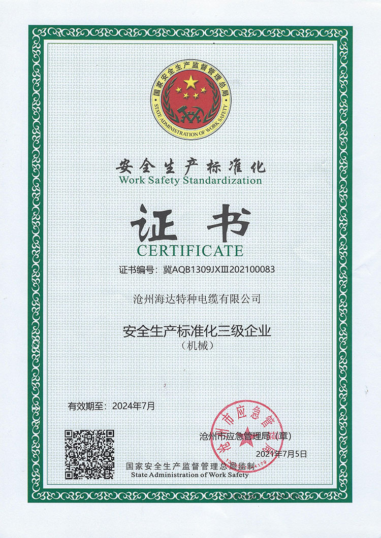 安全生產(chǎn)標(biāo)準(zhǔn)證書